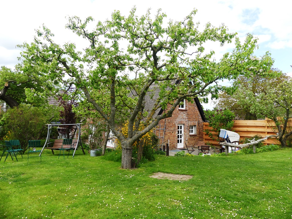 Foto der Wohnung RUG-51-718-01-fischerhaus-lancken-granitz-garten.JPG
