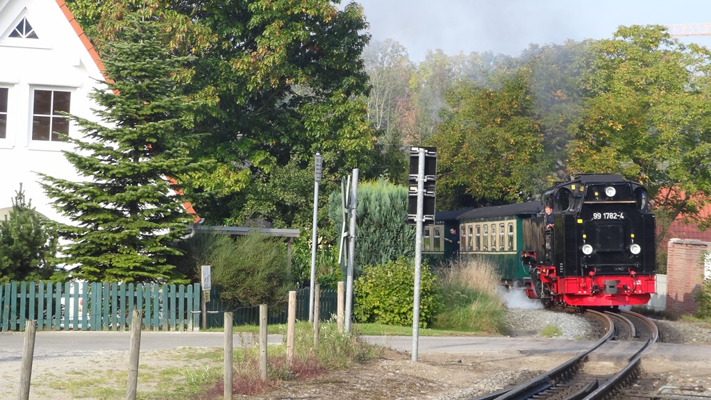 Ostseebad Binz - Der 

  Rasende Roland    fährt nun schon seit 1895 mit gemütlichen 30 km/h Höchstgeschwindigkeit über die Insel Rügen und verkehrt täglich zwischen Putbus über Binz, Sellin und Baabe nach Göhren.