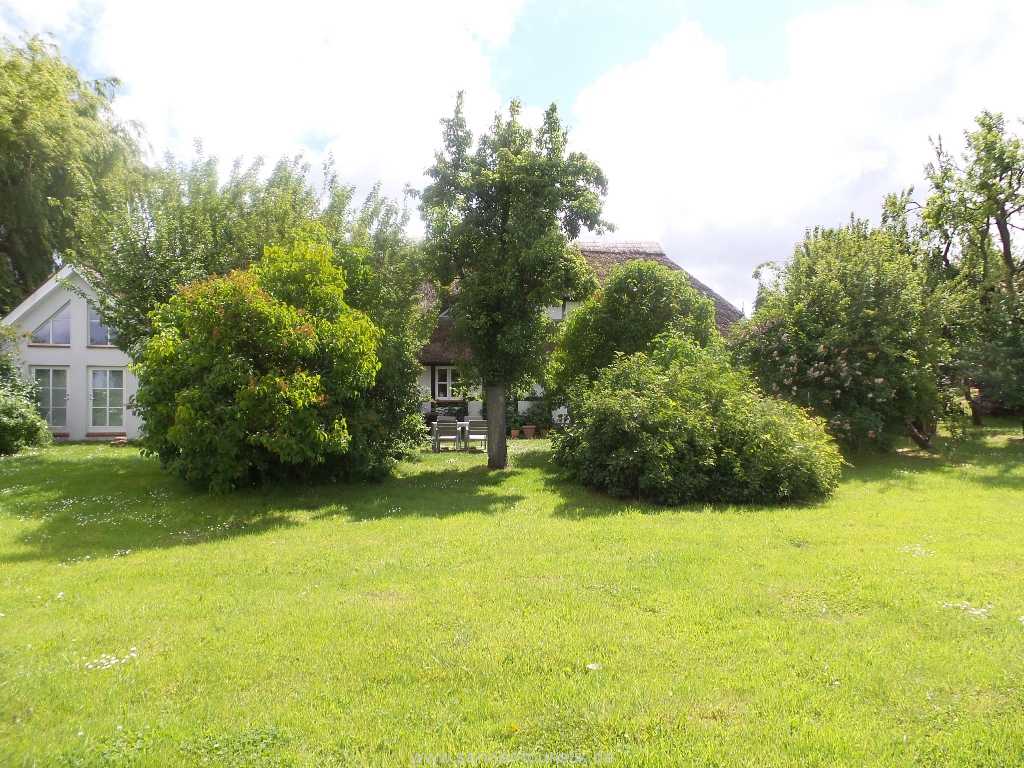 großes gepflegtes Gartengrundstück um das Haus - Mönchgut großes gepflegtes Gartengrundstück um das Haus - Mönchgut