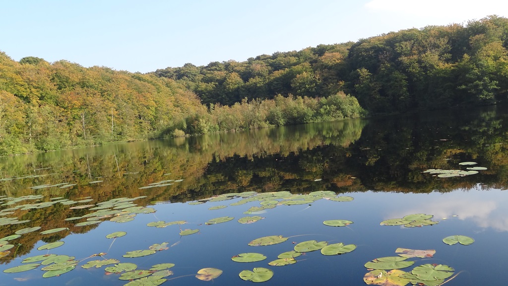 scharzersee.jpg